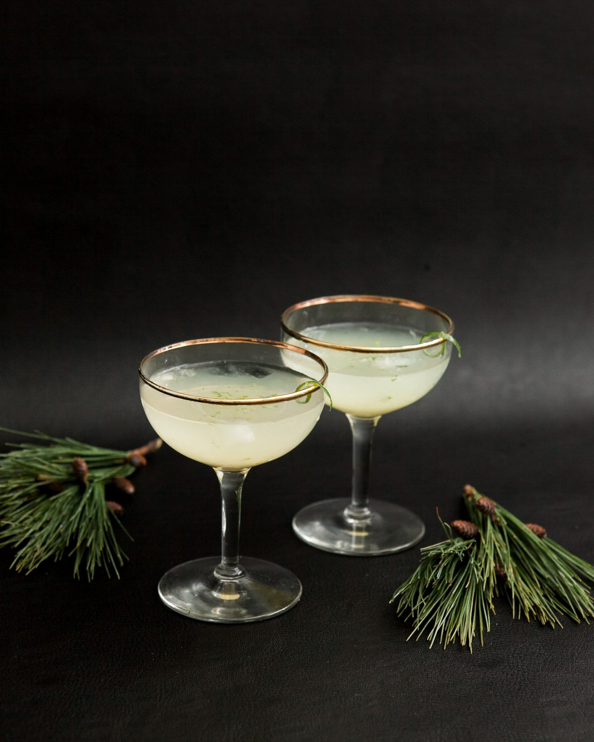 Patrónatini・A ThreeIngredient Tequila Martini » Jessica Brigham