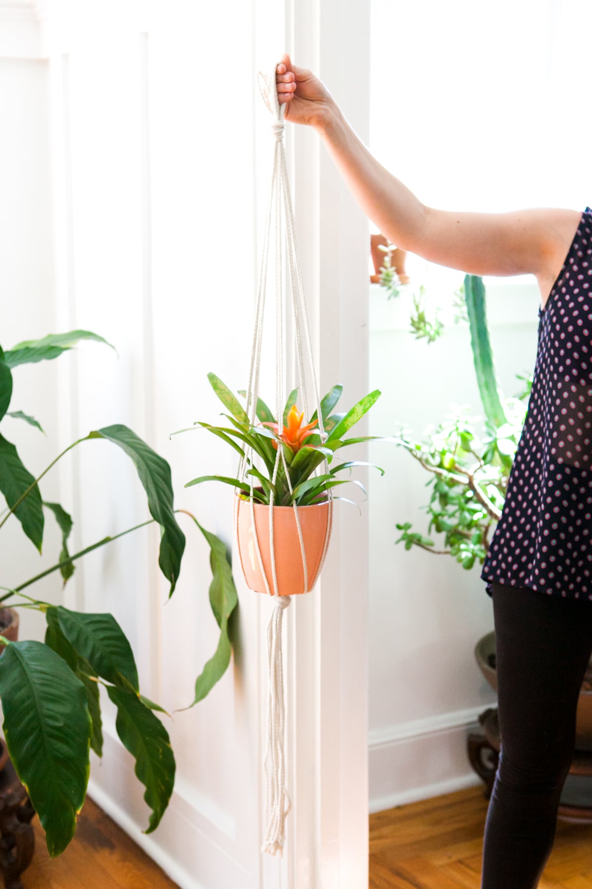 DIY Macrame Plant Hanger | How To | Hanging Plants | Jessica Brigham | Magazine Ready for Life
