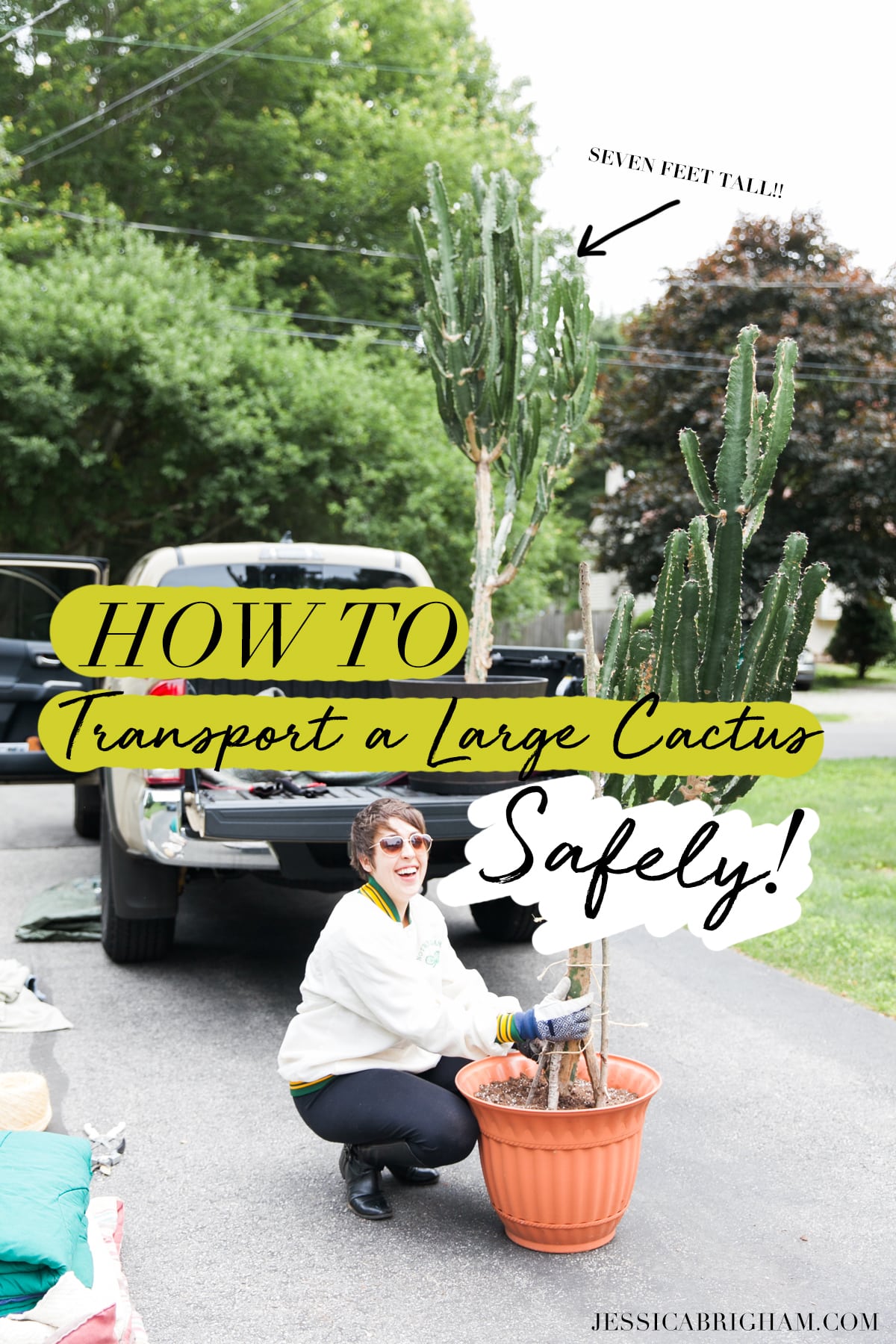 How to Transport a Large Cactus Safely | Long Distance Cactus Transport | How to Move Big Cactus | Jessica Brigham | Magazine Ready for Life