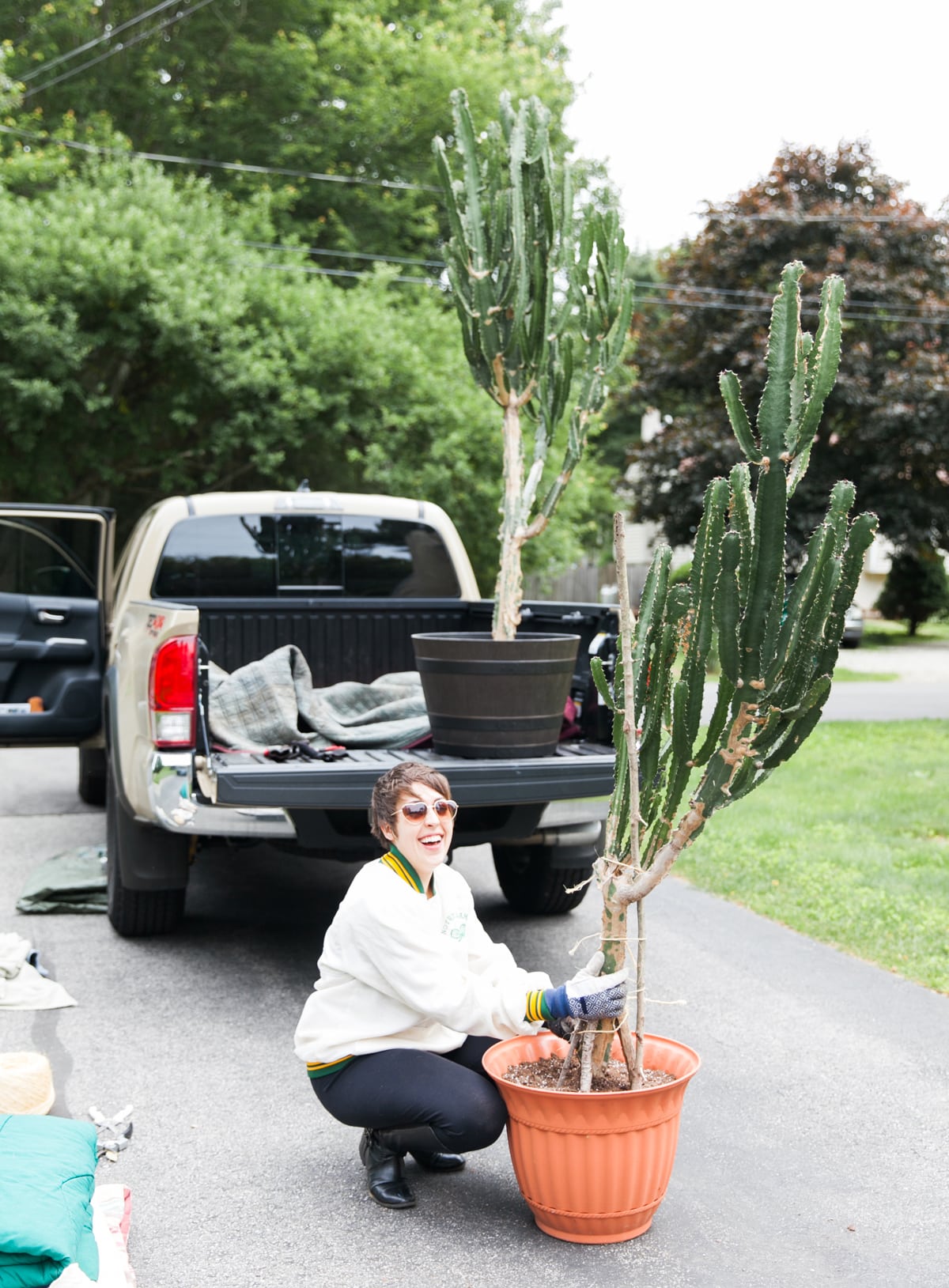 How to Transport a Large Cactus Safely | Long Distance Cactus Transport | How to Move Big Cactus | Jessica Brigham | Magazine Ready for Life