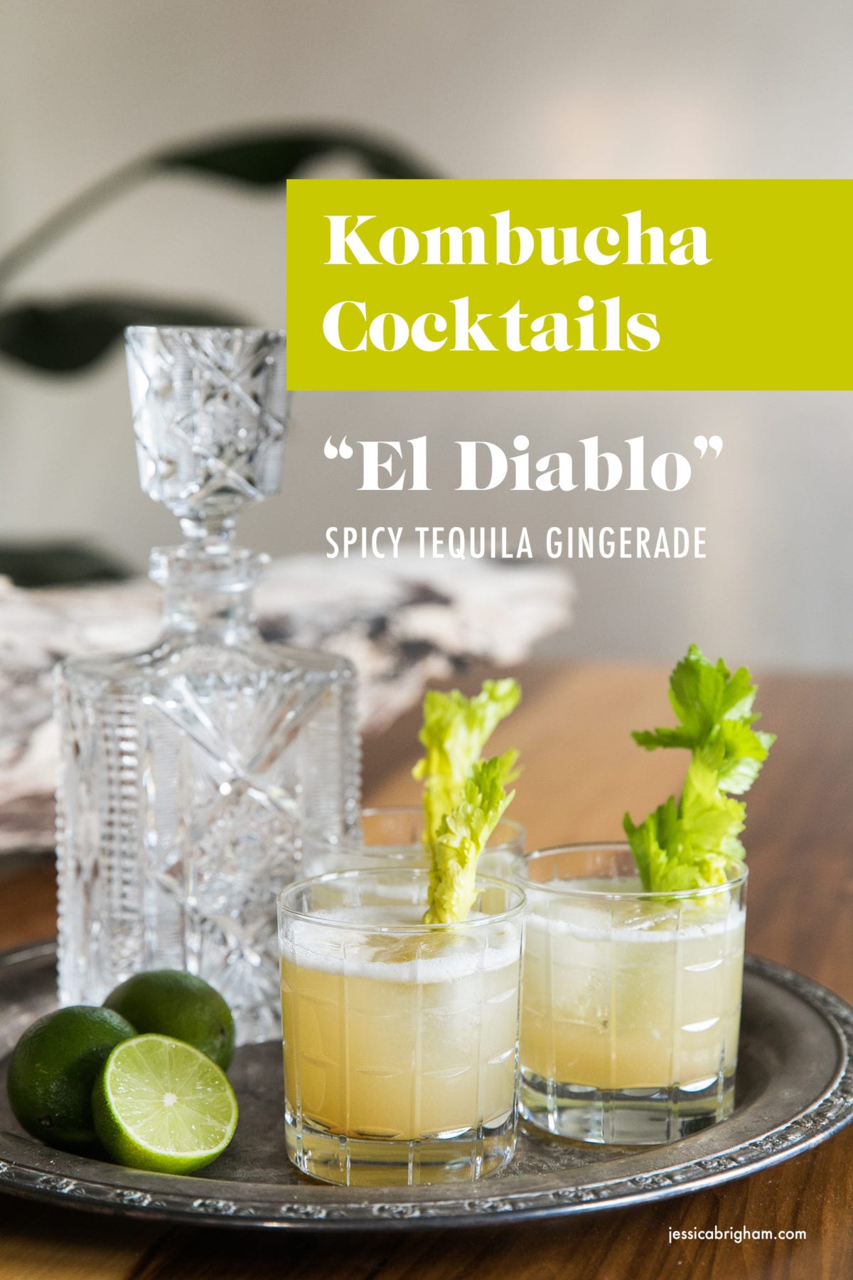 Kombucha Cocktails | Tequila Gingerade With A Kick | Mixology | Jessica Brigham | Magazine Ready for Life