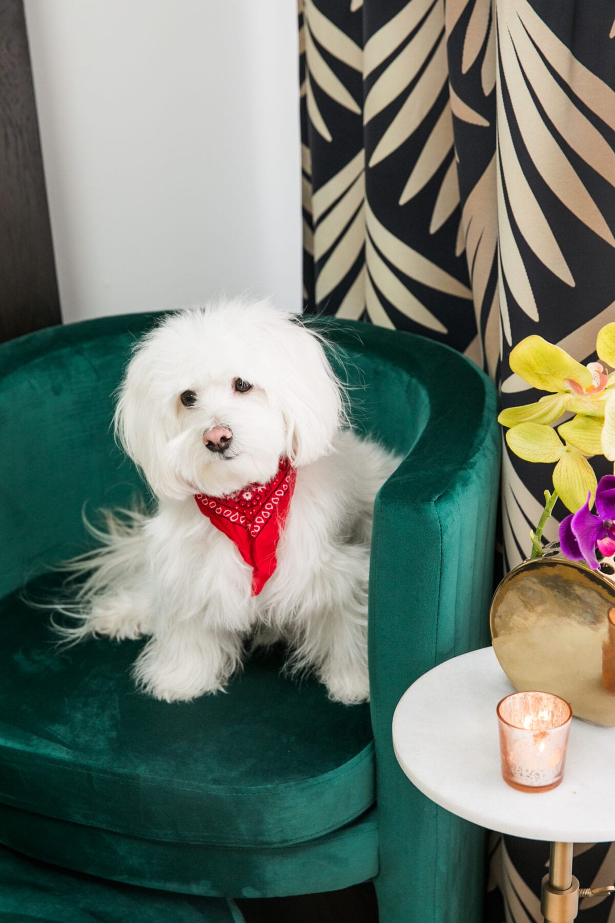 Hollywood Regency Glam Guest Room REVEAL | Guest Room Decor Ideas | Luxe & Bold Interiors | Striking Interiors | JessicaBrigham.com